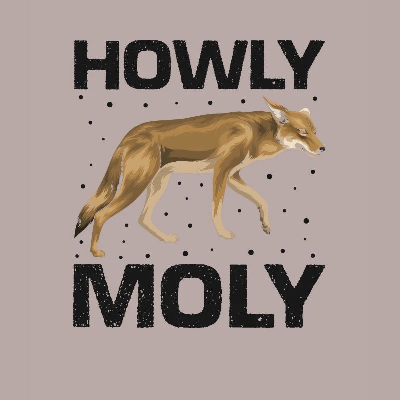 Conception de coyote pour les réacteurs de coyote