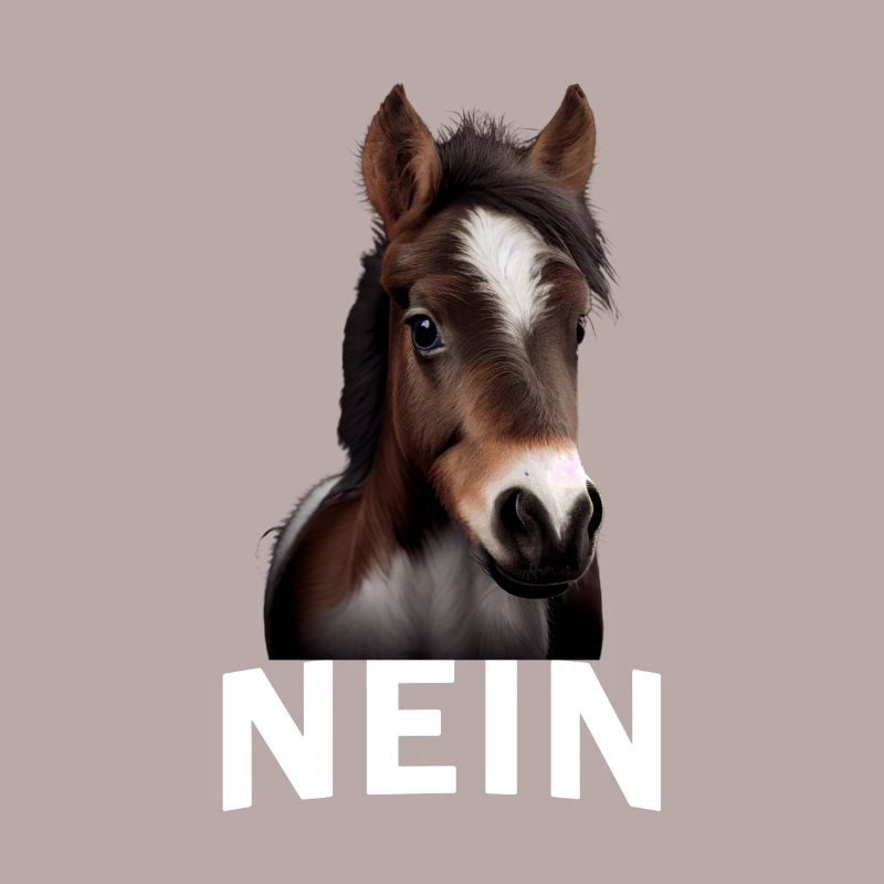 Statement Pferd, Nö Fun, Einfach Nö, Nein