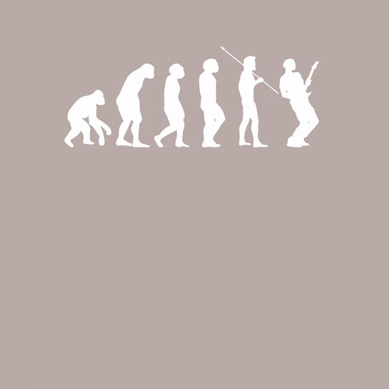 Guitare Guitar evolution Evolution