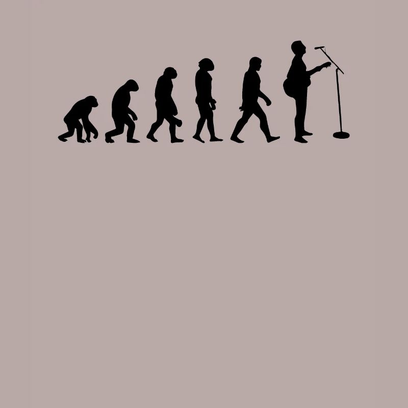 Evolution der Gitarre