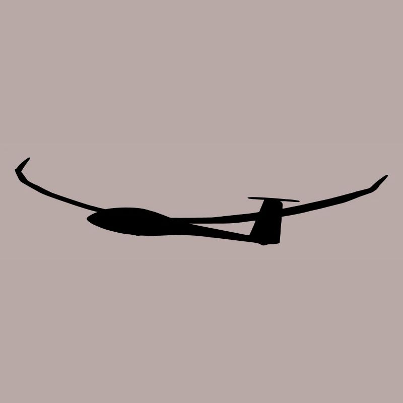 Glider Glider Glider Pilot Pilot