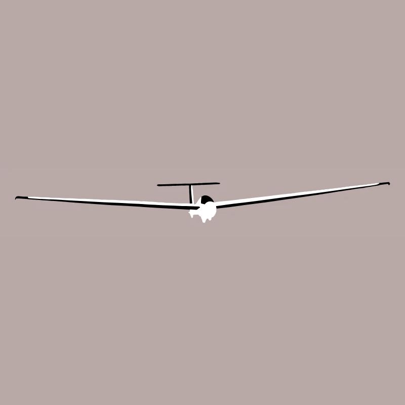 Glider Gliding Glider Glider Pilot Pilot