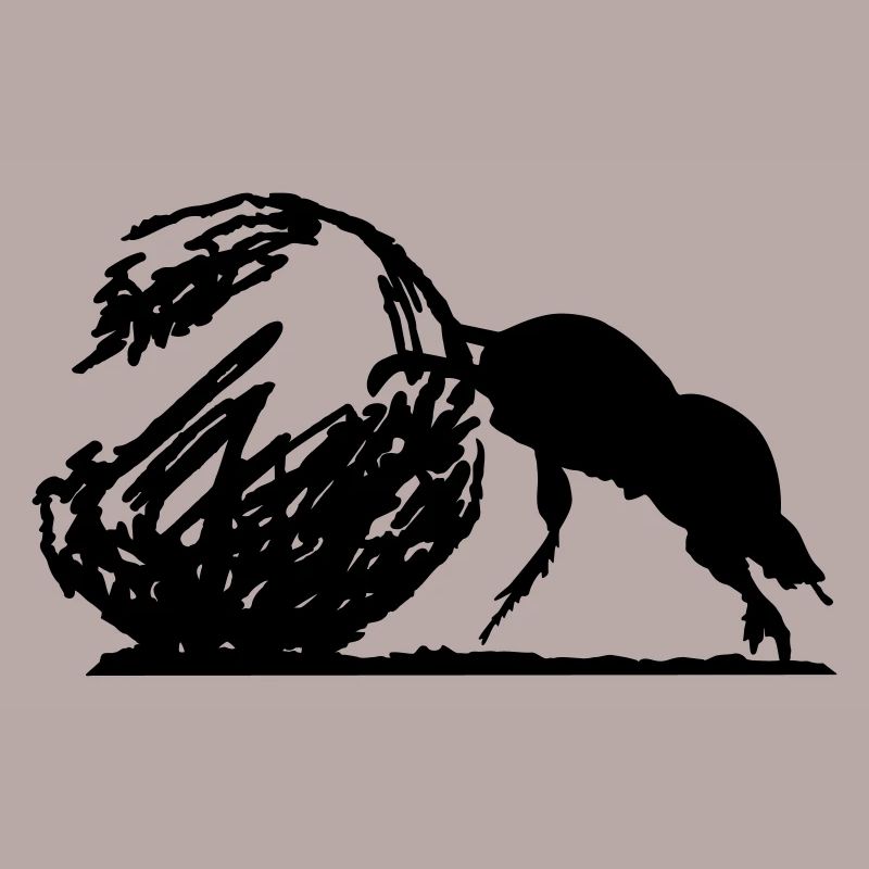 Coléoptère de bouse