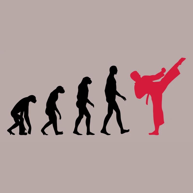 Karaté - Evolution