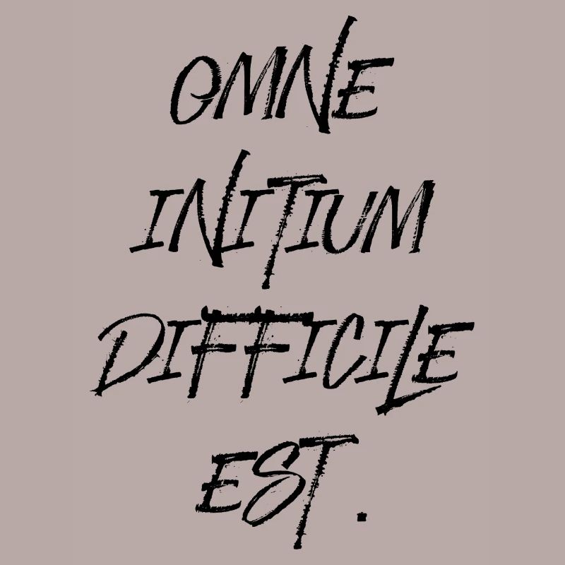 all beginning is difficult Latin quotation scripture