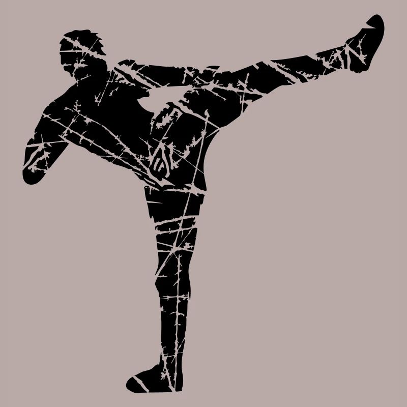 cracks scratch kickboxer kickboxing karate judo kamp
