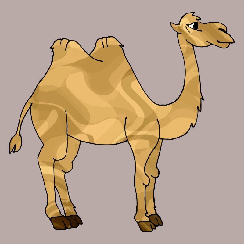Kamel