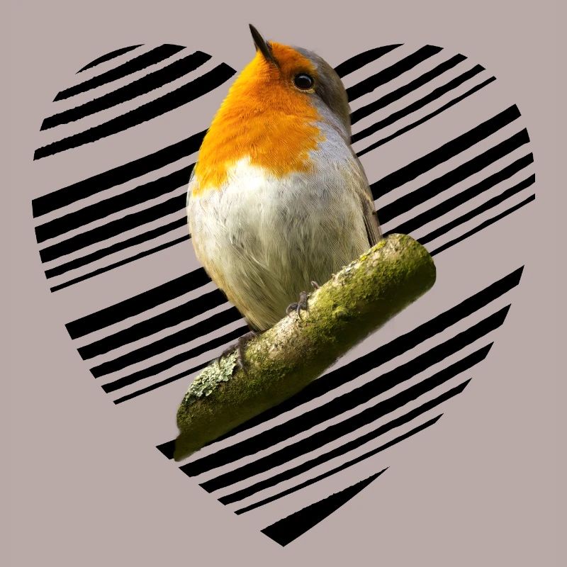 Rotkehlchen robin Erithacus rubecula