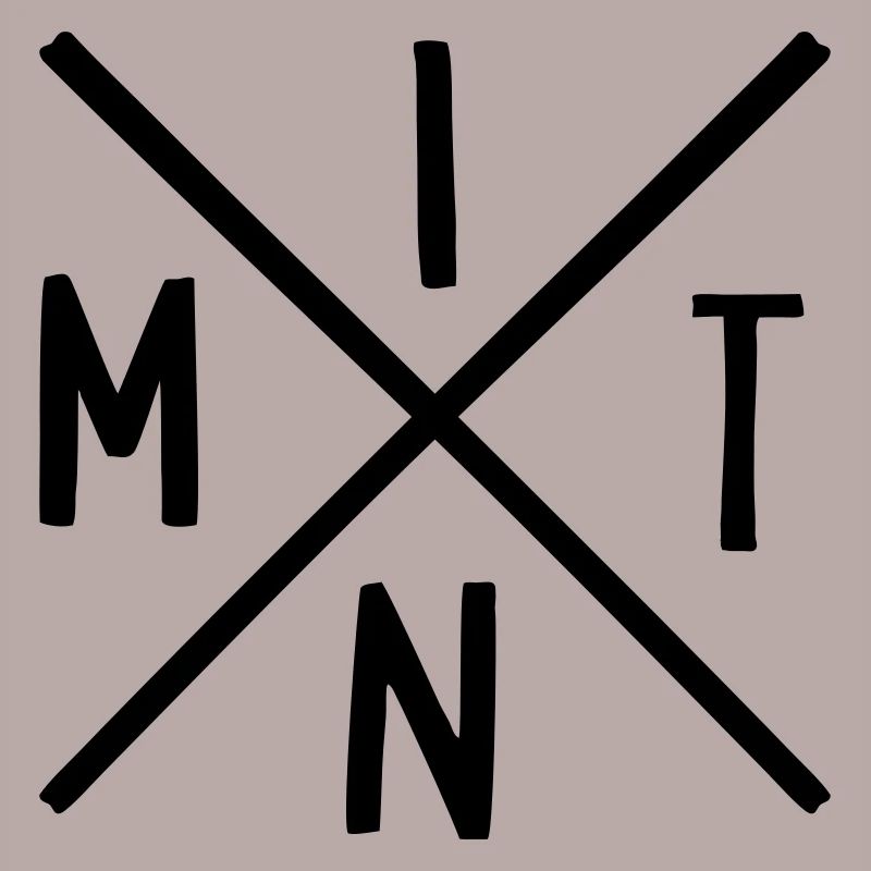 MINT Fächer