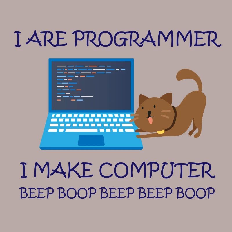 I are Programmer i make Computer Informatiker