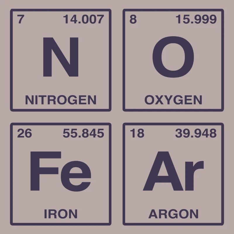 NO FEAR - avec des éléments du système de perdiode