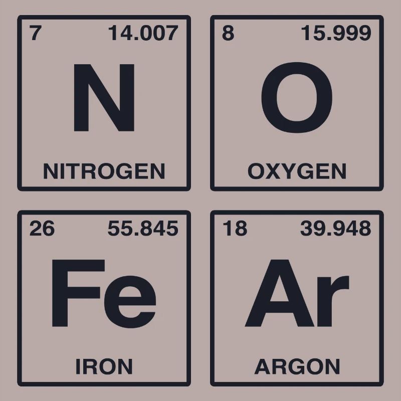 NO FEAR - avec des éléments du système de perdiode