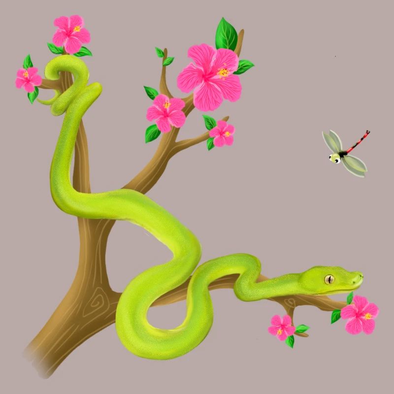 The Green Python snake on the tree with flowers