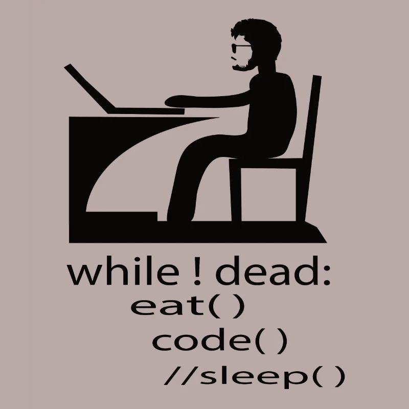 Softwareentwickler Programmierer Geschenk