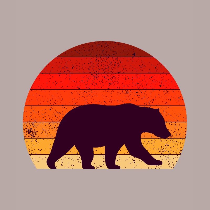 Eisbär Bär Bären Eisbären