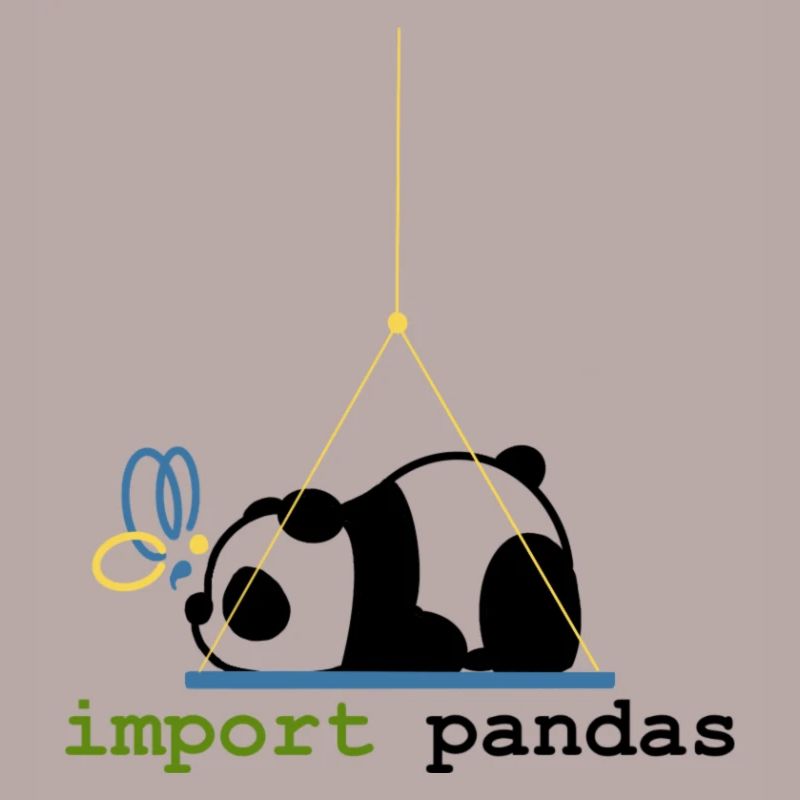 Python Jokes Import Pandas Programmation