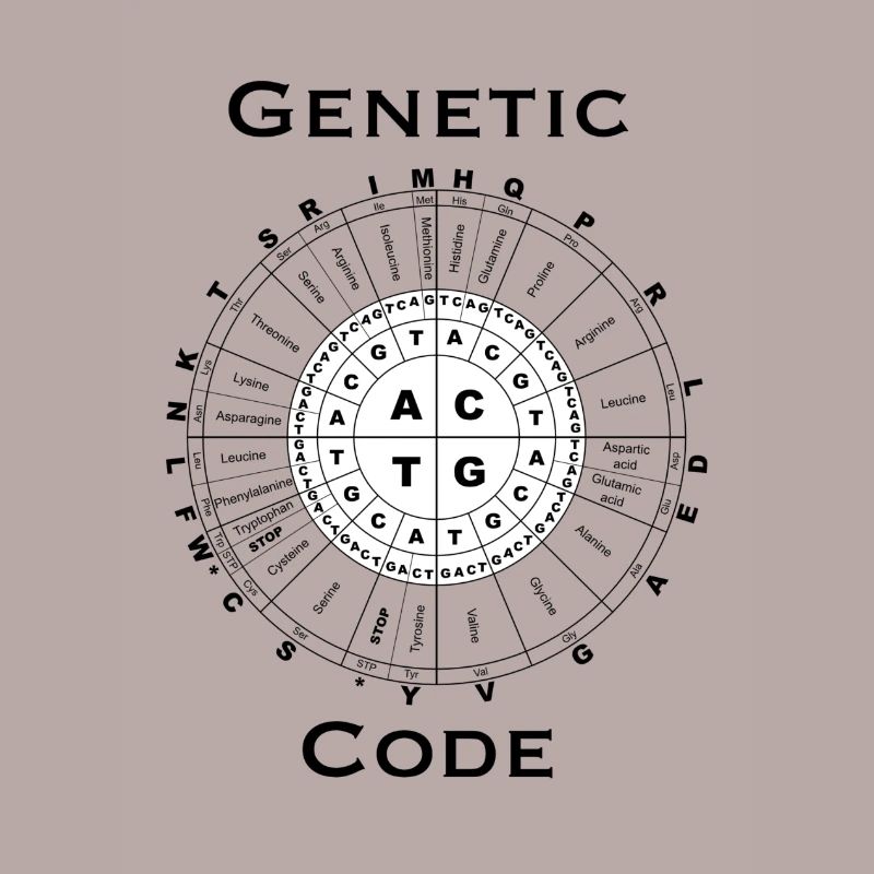 Code génétique