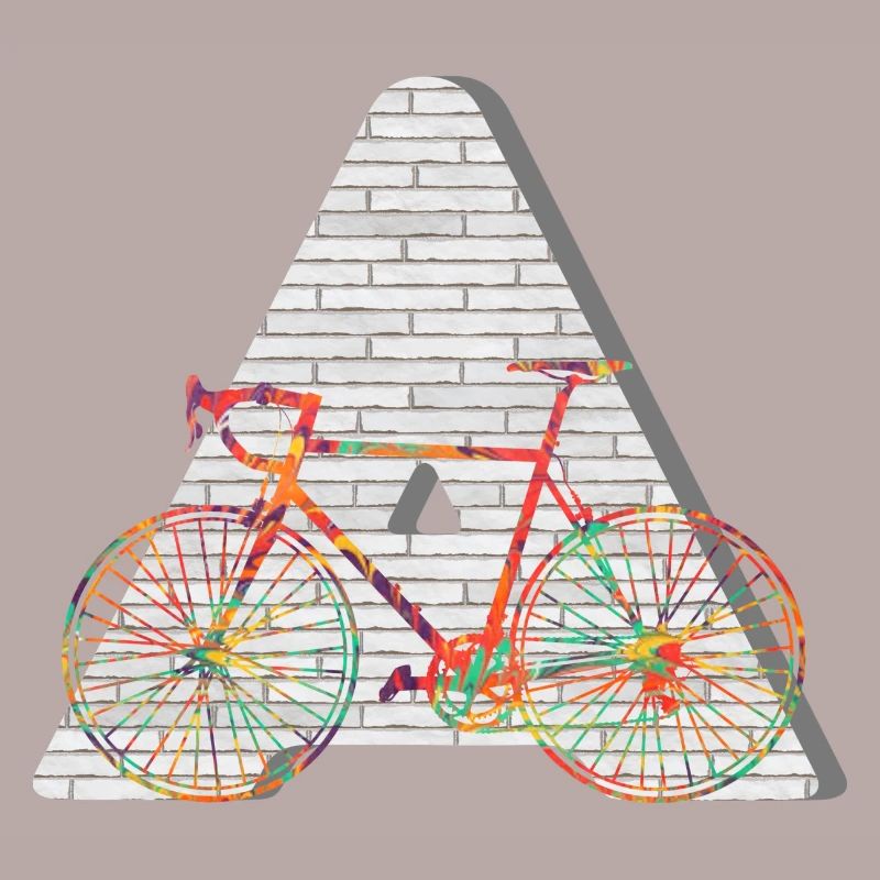 bicycle e 249 a