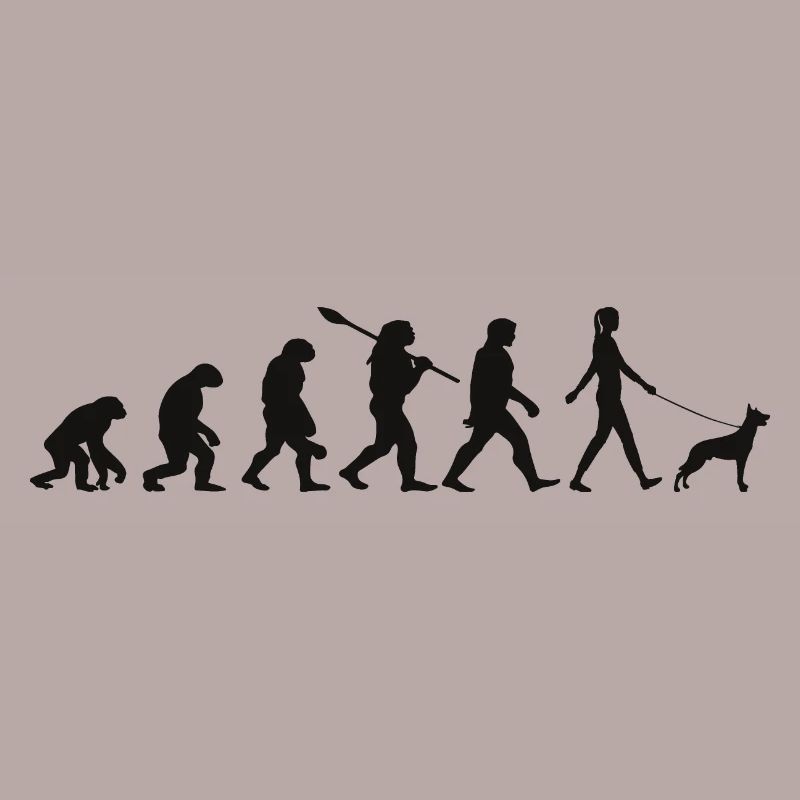 Evolution Lustiger Belgischer Schäferhund Malinois