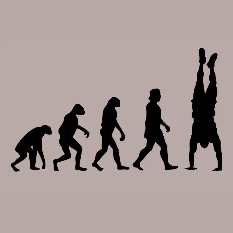 Evolution du renversé