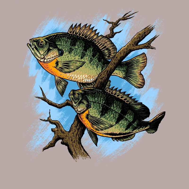 Crapet Arlequin Illustration Pêche Pullover conception