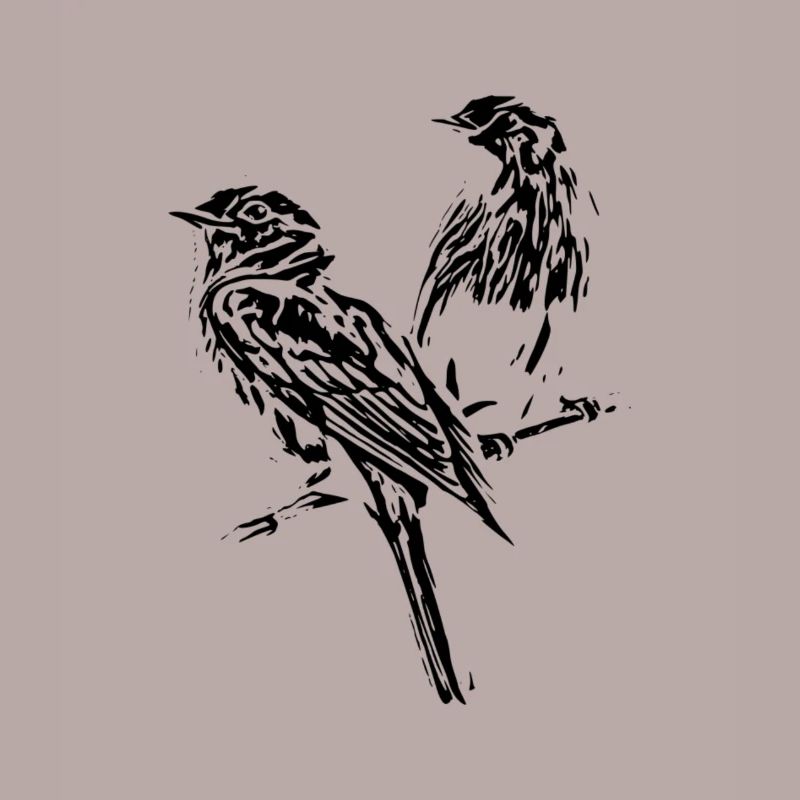 Oiseaux