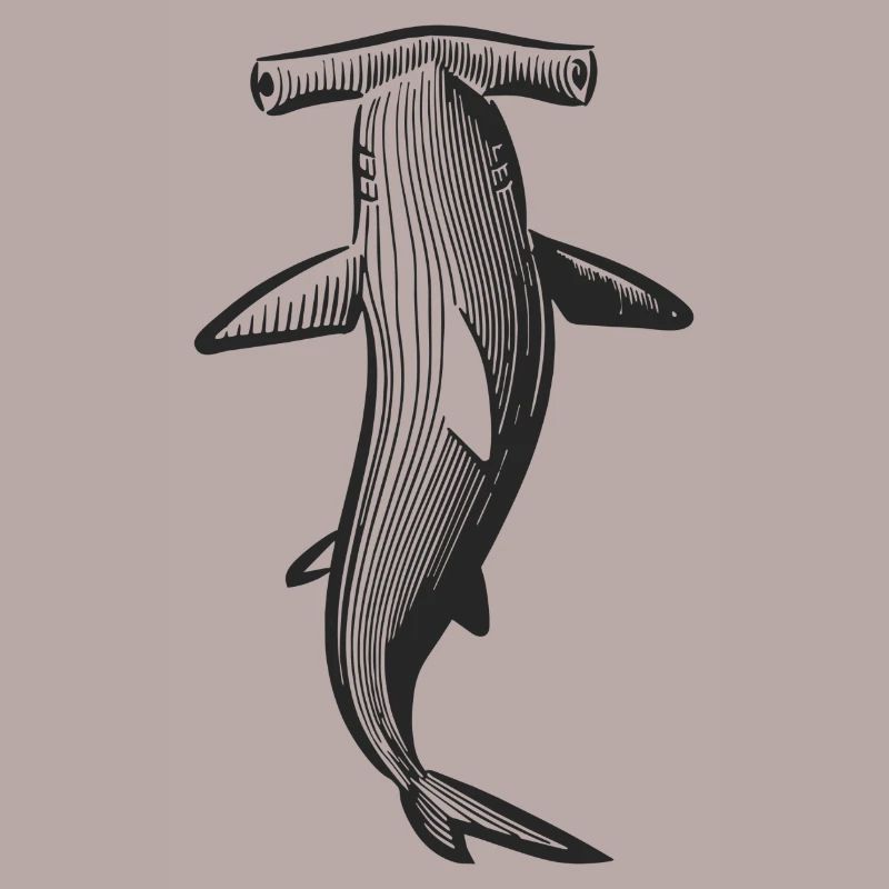 Conception de requin marteau