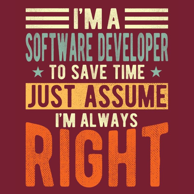 Software developer