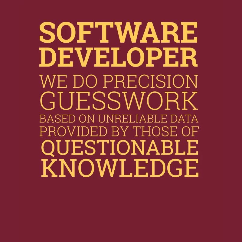 "Software Developer" | Programmer