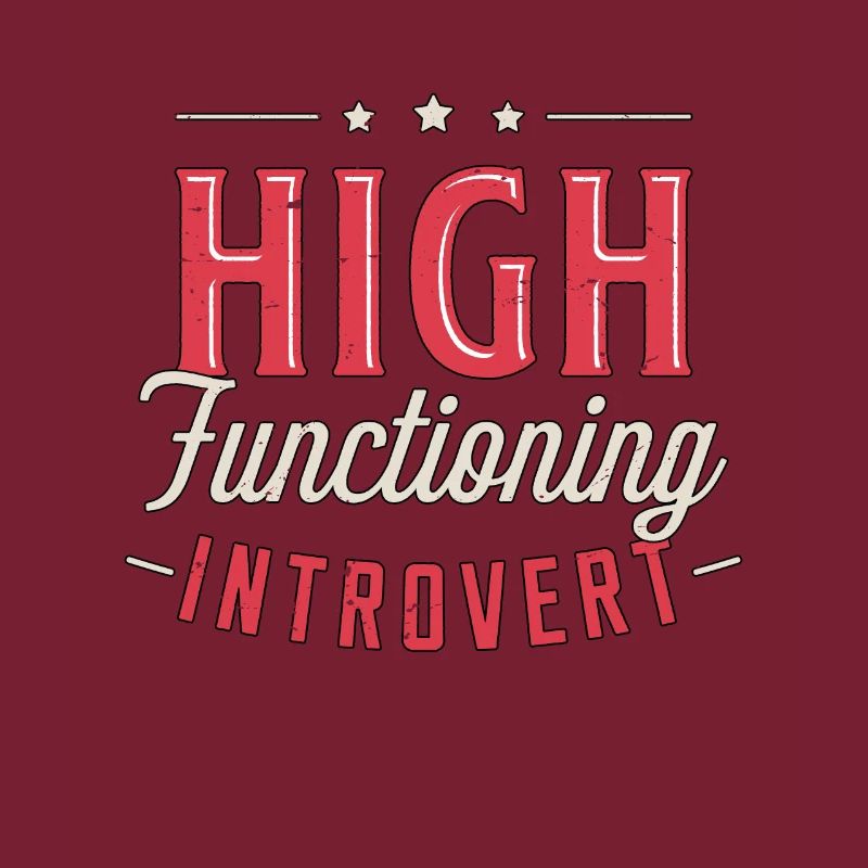 Introvert High Functioning Introverted Personality