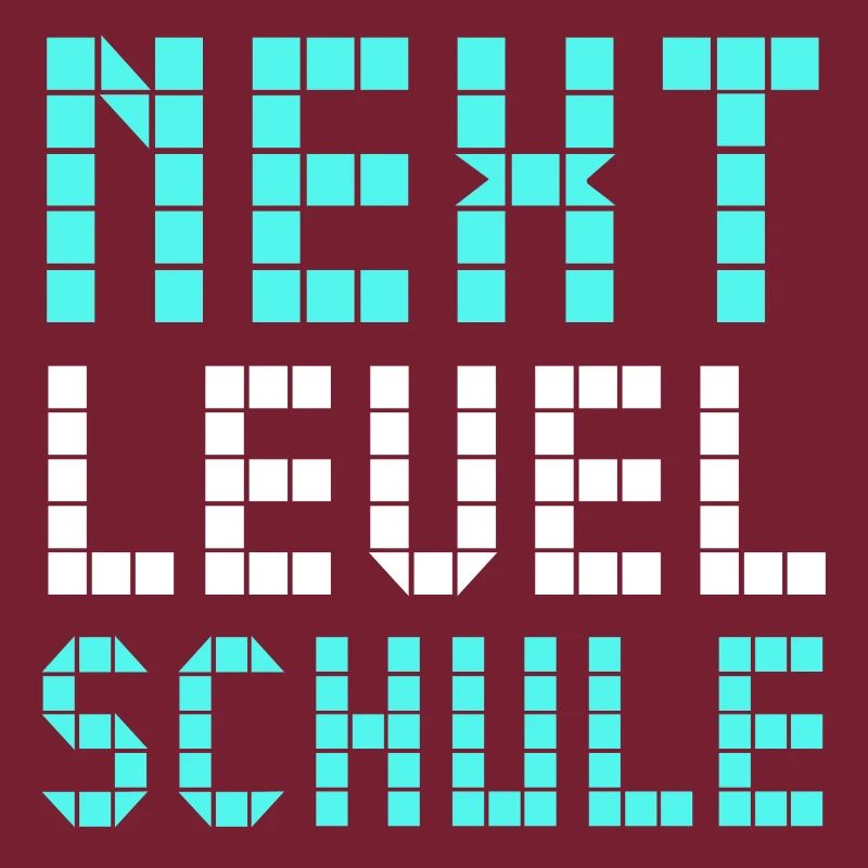 Next Level Schule
