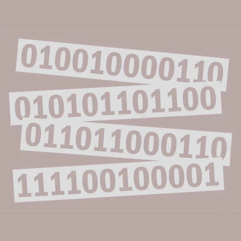Langage de programme de code binaire