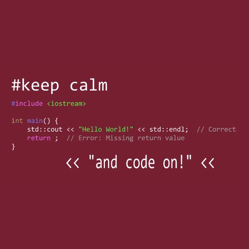 garder son calme et coder - Funny Mix