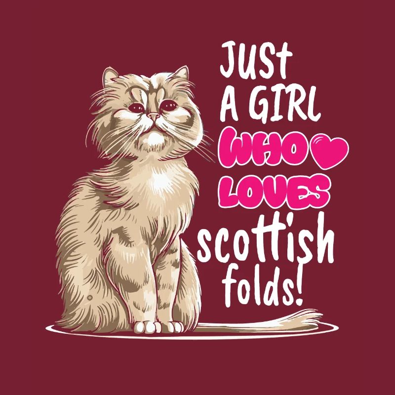 Scottish Fold Cat