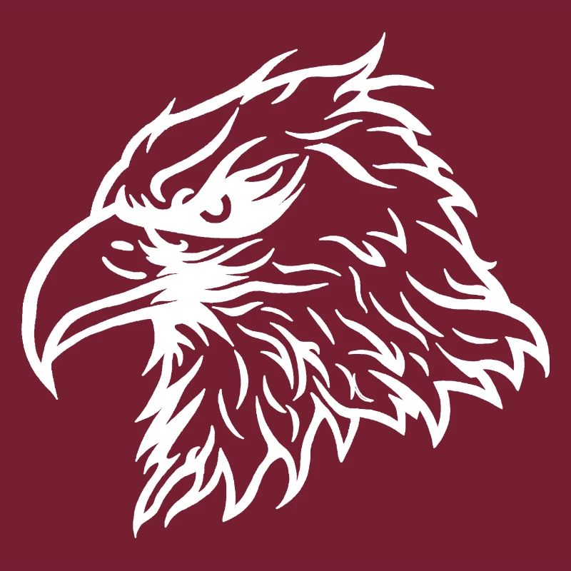 Cool Bald Eagle Eagle