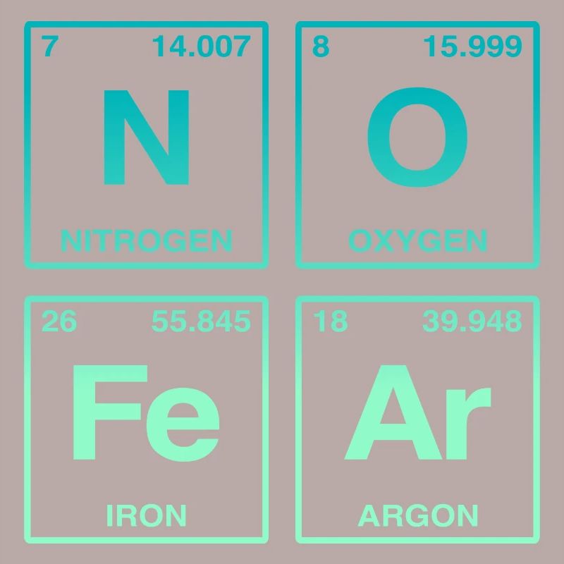 NO FEAR - with elements of the perdiode system