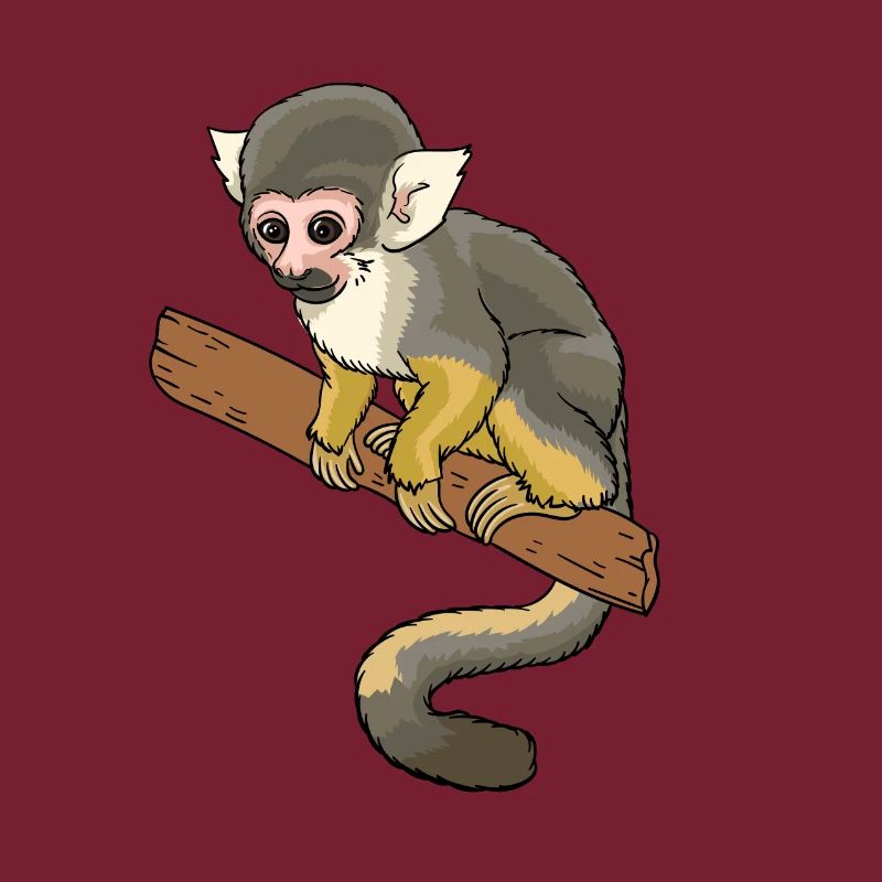 Squirrel monkey squirrel monkey primate