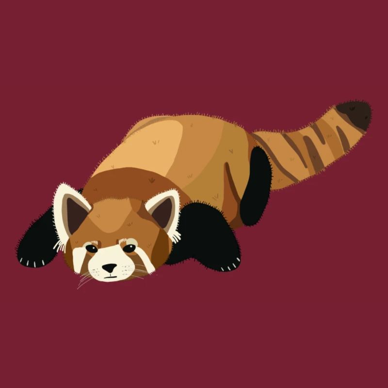 Kleiner Panda