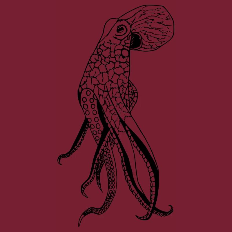 Octopus Meer Zeichnung