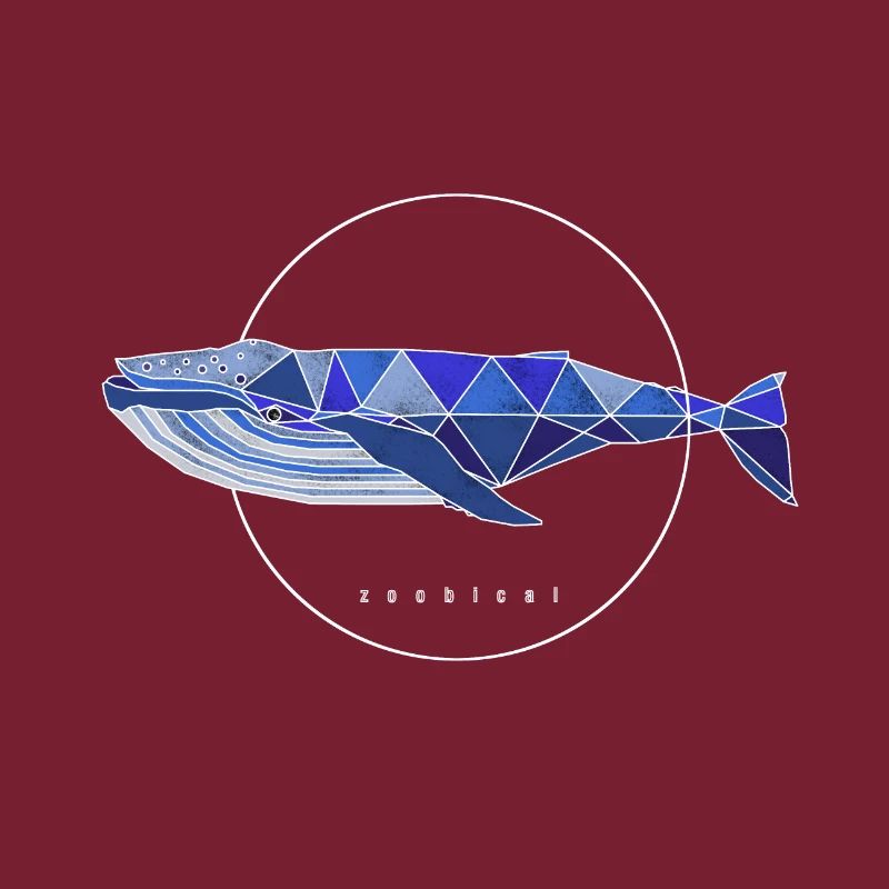 rorqual commun