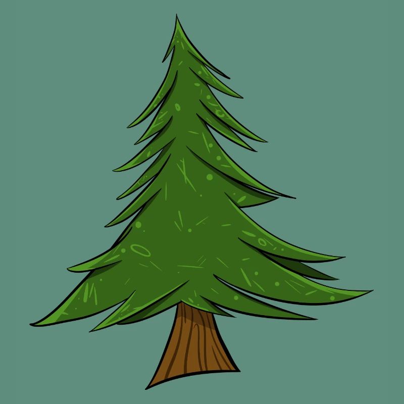Fir | Christmas Tree | Pine Tree