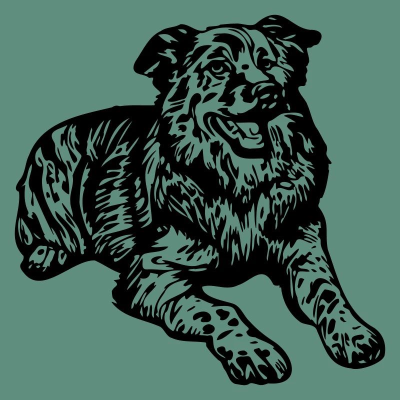 Australian Shepherd