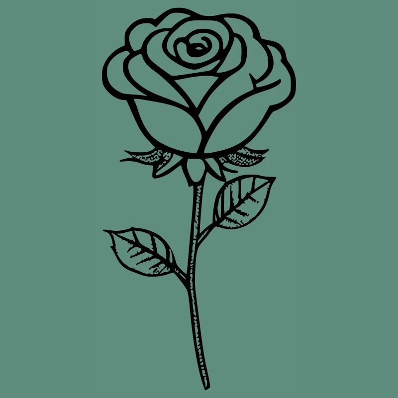 Rose as vector graphic