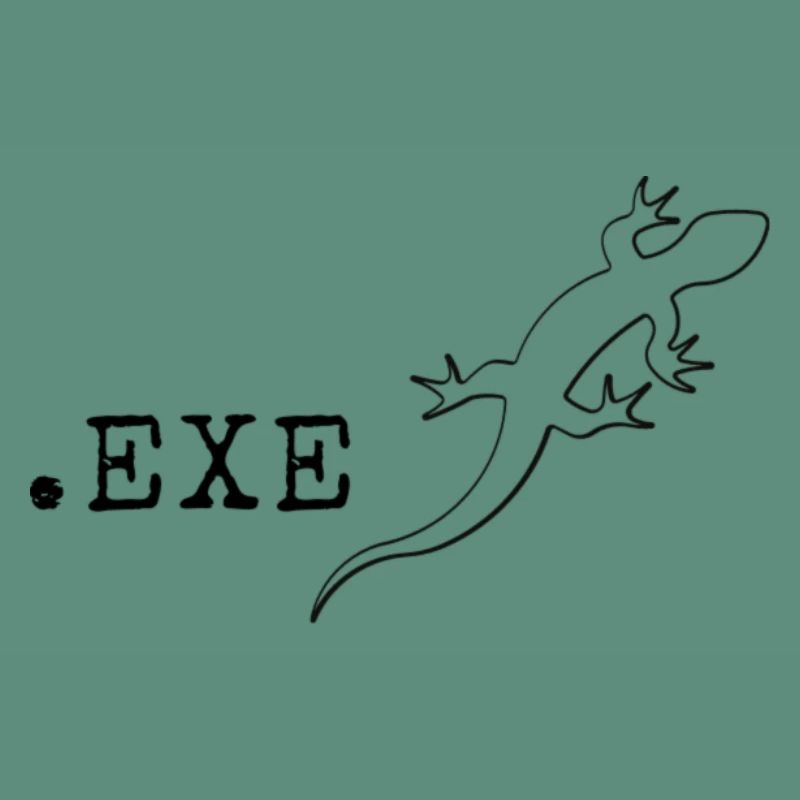 Computer scientist Programmer It Coding