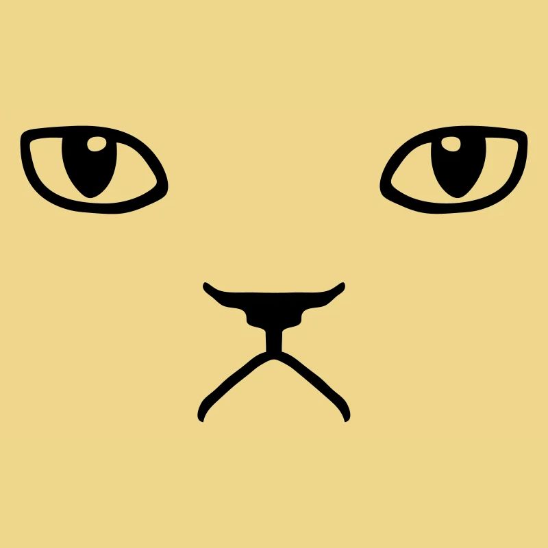 chat pas content grumpy kitty cat