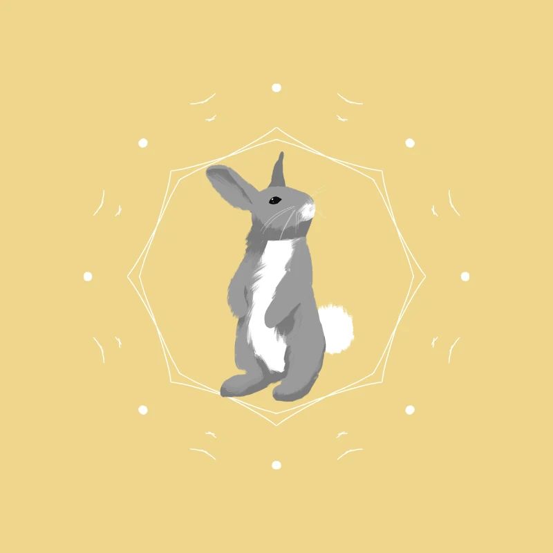 Rabbit in geometry ring