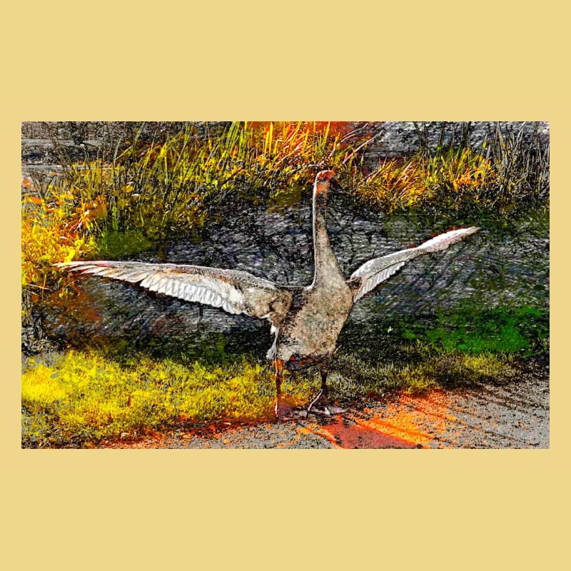 junger Schwan