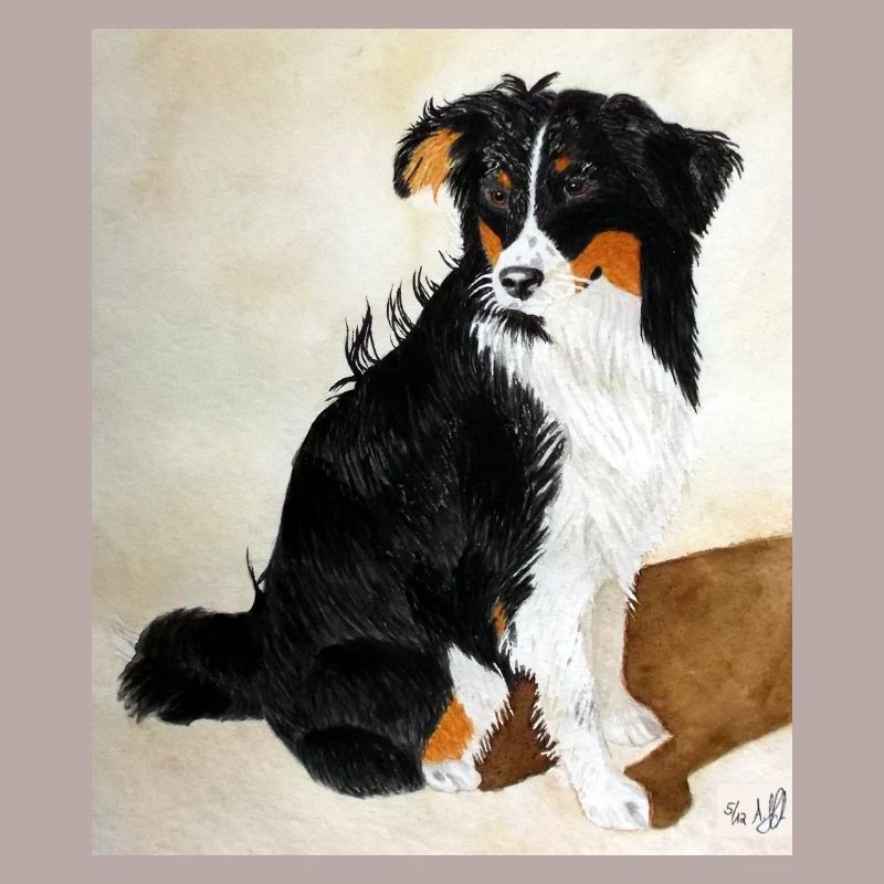 Sitzender Aussie Nanouk