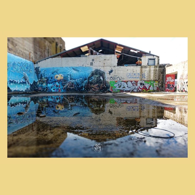 Urban Reflections – Blue Graffiti
