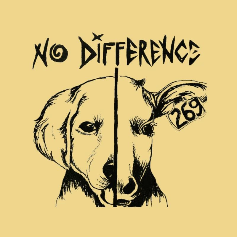Aucune différence